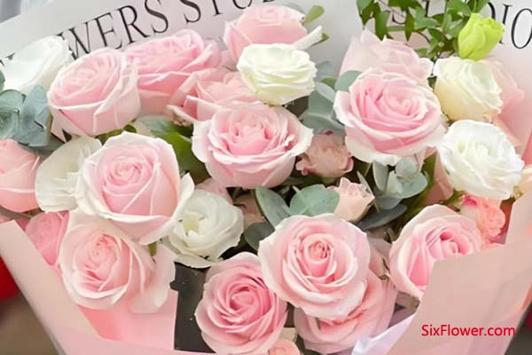 ��ѩɽõ��ͷۼ���õ���m���ͽoʲô����