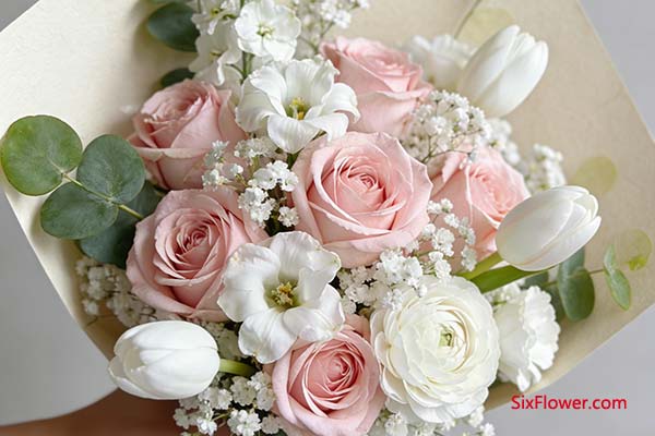 �����ϲ����ǳ��/����õ�� + ��ɫϵ�仨