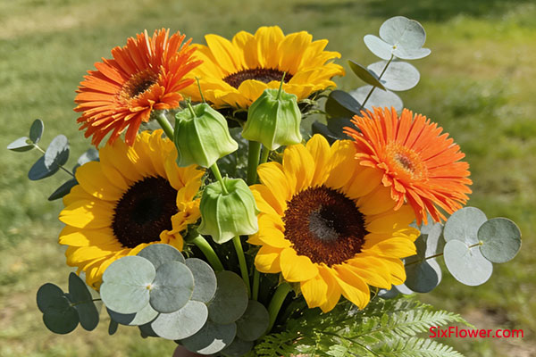 ���ճ��� &middot; Ԫ��Ą��