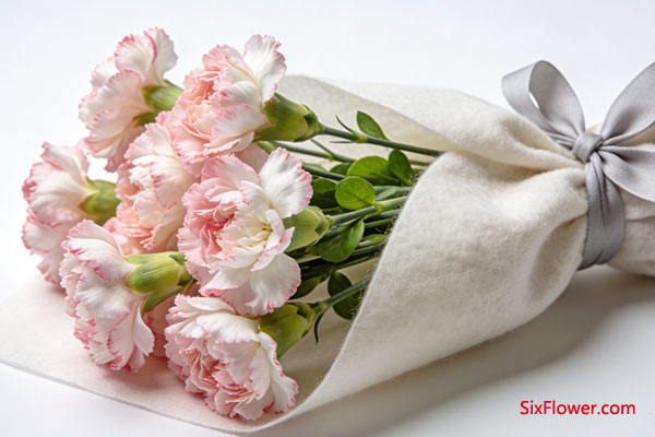 ����ܰ�����������뿵����