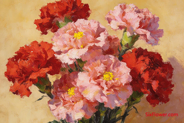 ����ܰ�����������������