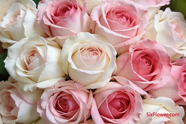 ���ػ������