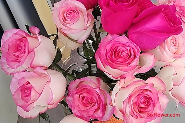 �ͳ�������