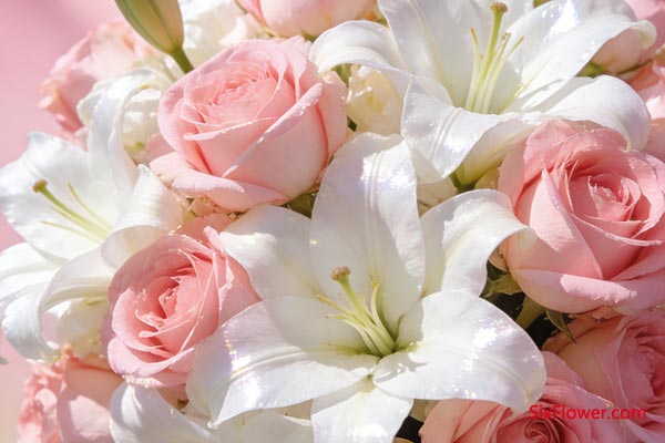 ����ɩ�ӣ�20-30�꣩�ͻ�