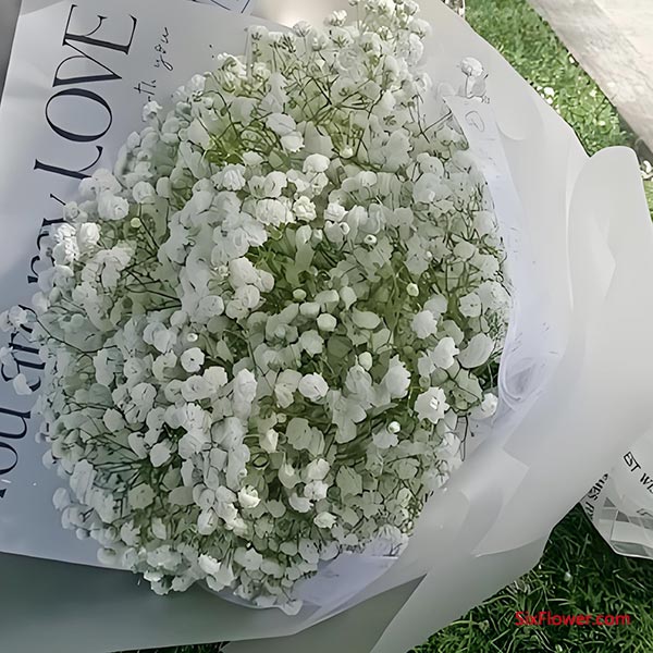 ��ɫ������