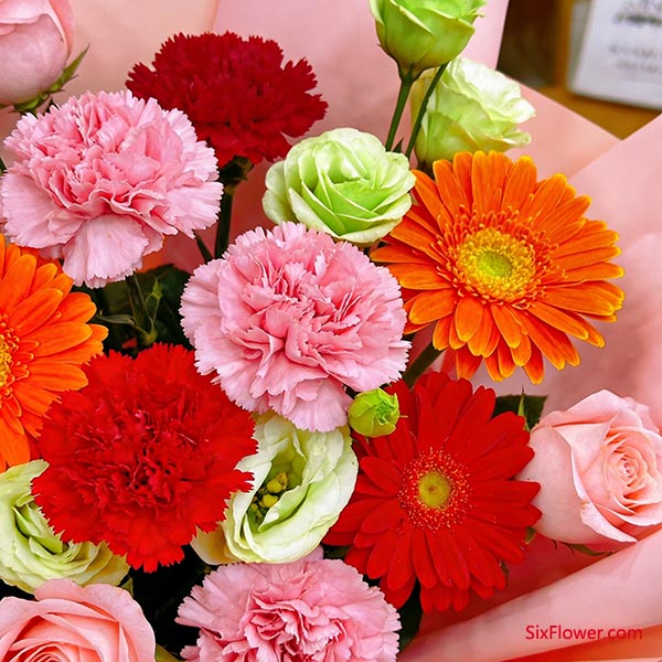 送给母亲或长辈