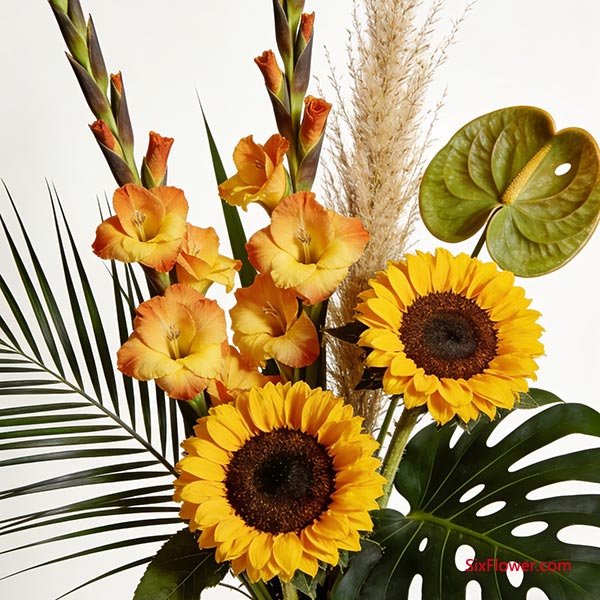 ����������ͦ�ε����� + ���ȵ�ɫ��