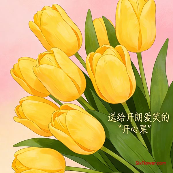 黄色郁金香&mdash;&mdash;送给开朗爱笑的&ldquo;高兴果&rdquo;