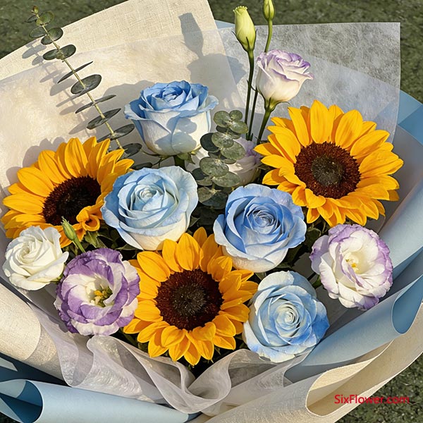 ����ѧ��������ʲô����