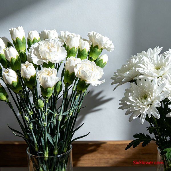 Ϊʲô���ʹ��׿���ܰ��
