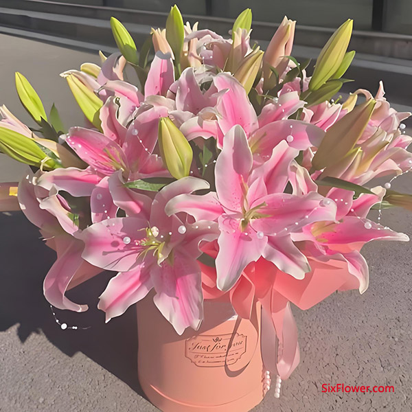 百合花