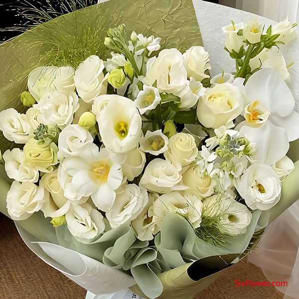 Ԣ��������ģ���˭��������