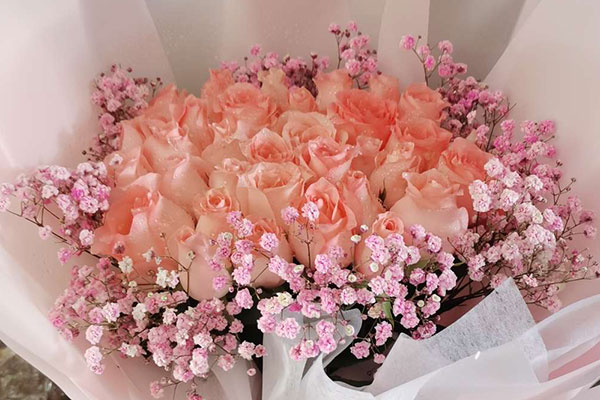 粉色满天星和玫瑰的花束图片，粉色满天星和玫瑰花的搭配