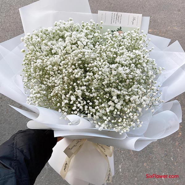 ��ɫ�����ǻ���