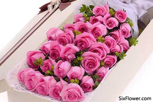 34朵粉玫瑰的花语是什么?34朵粉玫瑰代表