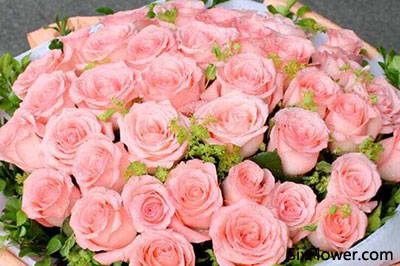 七夕节最畅销的粉玫瑰有哪些?