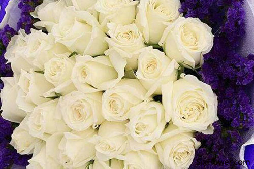 七夕节可以送白玫瑰吗 六朵花