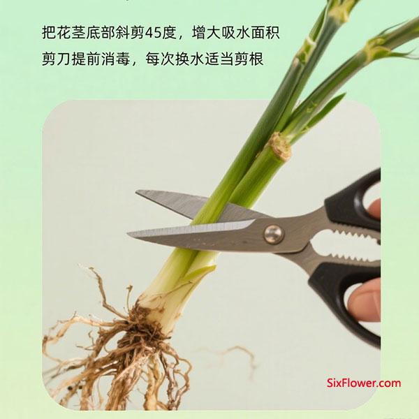 ͻûָʱ䣿