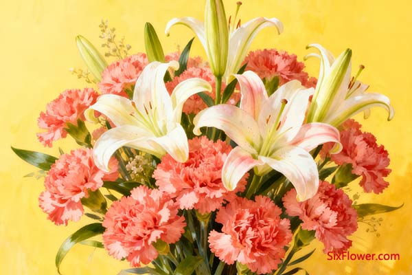 借百合寄托“幸福”之宏愿,升华祝福内涵