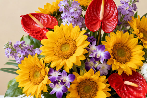 Ԣ “ϲ켪” ĸ​