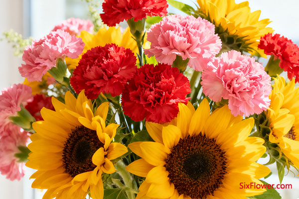 康乃馨 + 向日葵组合