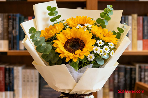 向日葵:点亮追寻知识的光明之心