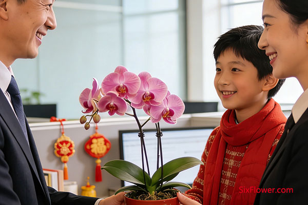 情感联结:传递幸福与美好