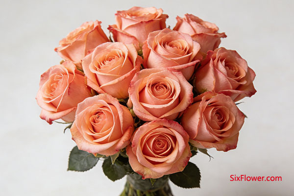 11��õ��&mdash;&mdash;�漣���ޣ�һ��һ��