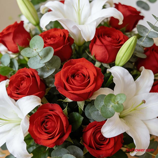 �Ƽ���϶�����õ�� + �ٺ� + �ȼ���