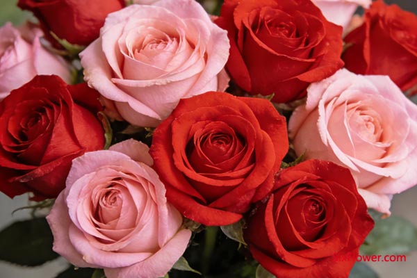 õ����������