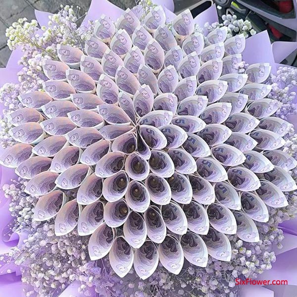 ��������̬����ᾭ�û����Ľ�֯