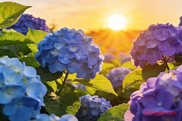 ϣ���������������µ������