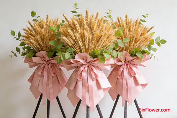 ��ѡ���������������������������ƣ�