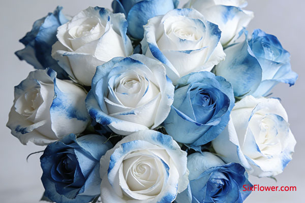 �����õ�壺��������֮�����ǿ�����