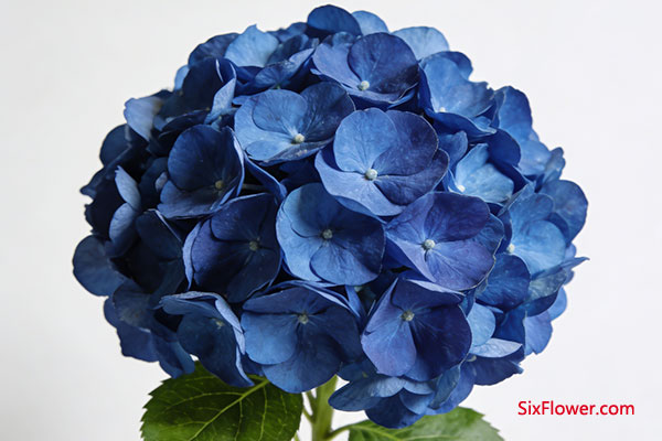 ��ɫ���� &mdash;&mdash; ���䡢����������