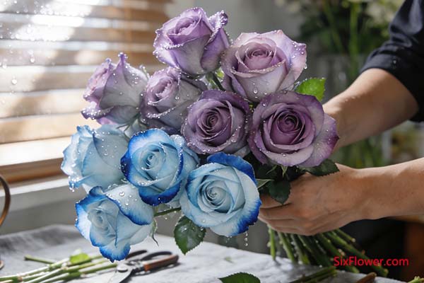 ��õ�������