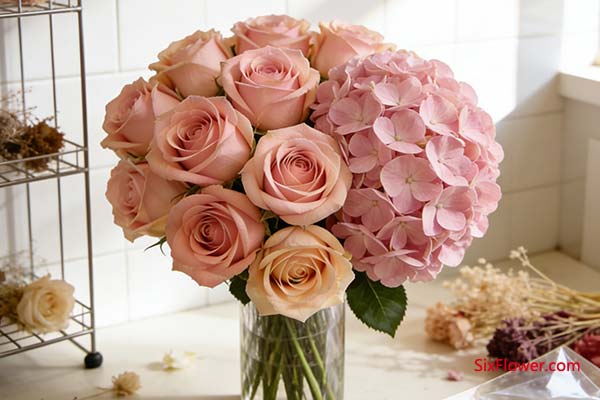 ���򻨣�Բ����ϣ����ʹ��