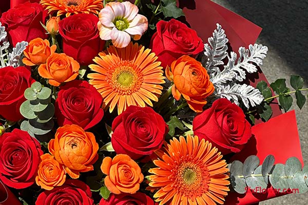 ���ҵĸ�ף�����õ�� + ��ɫ�仨 + ����Ҷ��