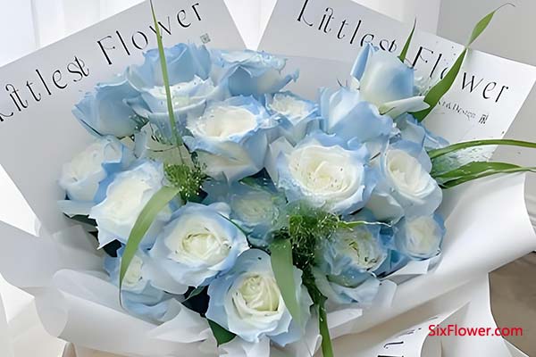 �쳤�ؾã�9�䡢19�䡢99�䣩����ŵ������İ�