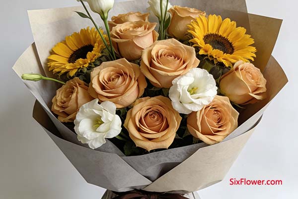 �����������ʿ�ͻ�