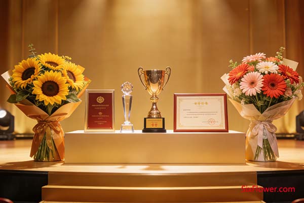 向日葵与扶郎花各有寓意