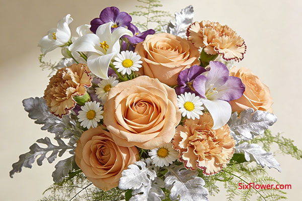 ů��΢�� &middot; ���ư��ݿ�