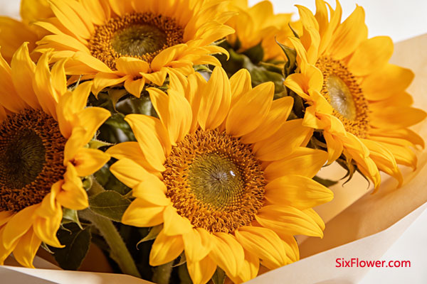 ���տ�������������ϣ����