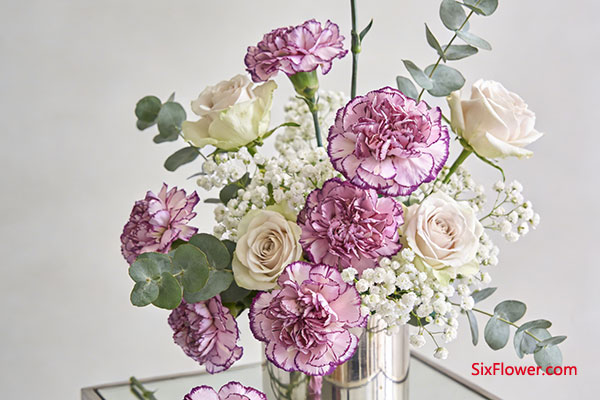 �Ͼ��鿵��ܰɫ�����������Ԣ��