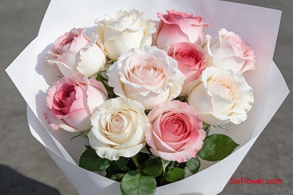 ��־�Խ���ɫ��