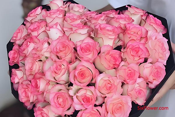 ������ϸ�������