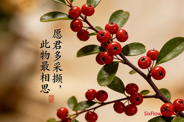 中国的花材选择则展现出多元复合的象征系统