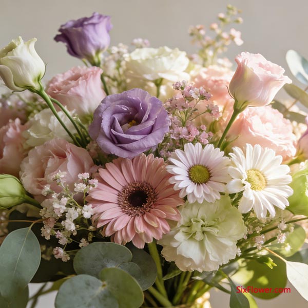 С������ͬɢ���˼���ǳ�