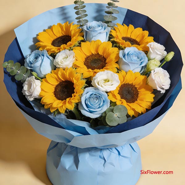 ����ѡ����Ԣ��