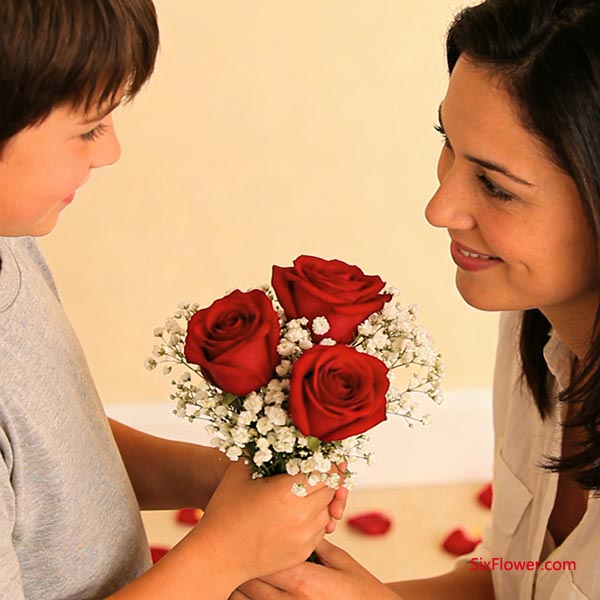 3朵玫瑰花 &mdash;&mdash; &ldquo;妈妈，妈妈玫瑰我爱你&rdquo;